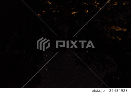 Sky with stars at night and leaves Sky with stars at night and leaves 25484923