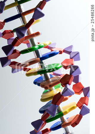 Molecular, DNA and in science research lab Molecular, DNA and in science research lab 25486266