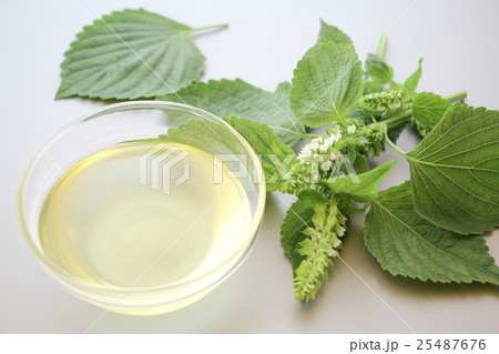 エゴマ油 25487676