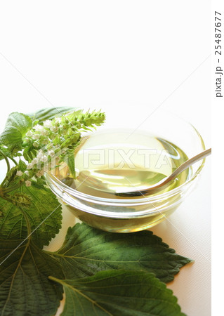 エゴマ油 25487677