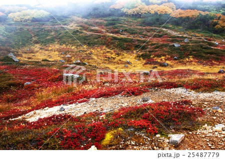 晩秋の大雪山連邦 25487779
