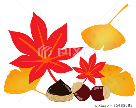 紅葉とイチョウと栗とどんぐりのイラスト素材