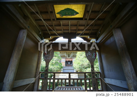 江島神社 「奥津宮」八方睨みの亀 江島神社 「奥津宮」八方睨みの亀 25488901