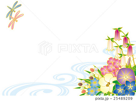 夏から初秋の花の背景素材 和柄のイラスト素材 25489209 Pixta