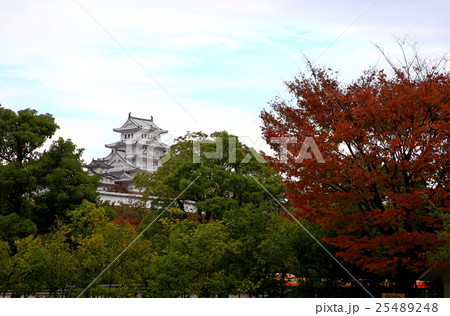 姫路城　紅葉 25489248