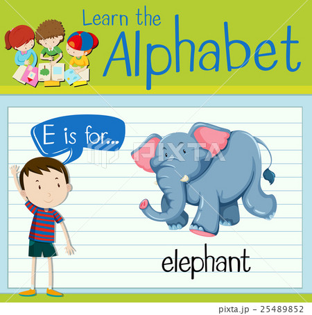 Flashcard letter E is for elephant 25489852