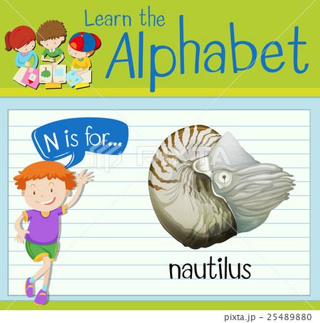 Flashcard letter N is for nautilus 25489880