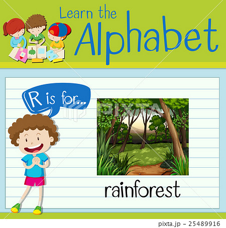 Flashcard letter R is for rainforest 25489916
