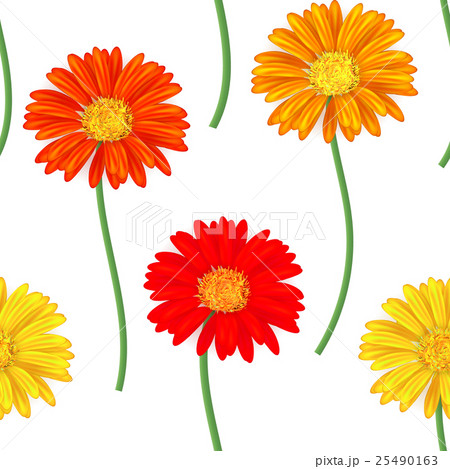 Seamless pattern with colorful gerbera flowers 25490163