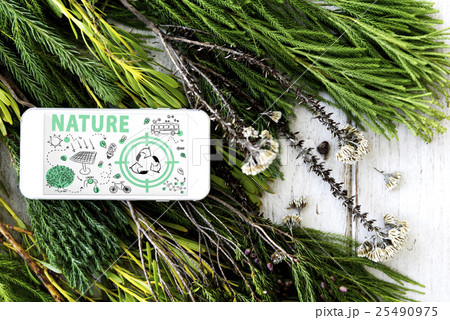 Ecology Friendly Energy Environment Sustainable Concept 25490975