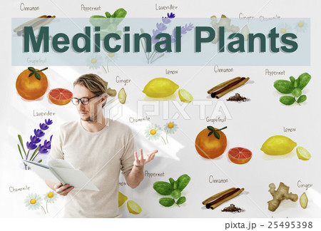Medicinal Plants Natural Cure Herb Herbalism Concept 25495398