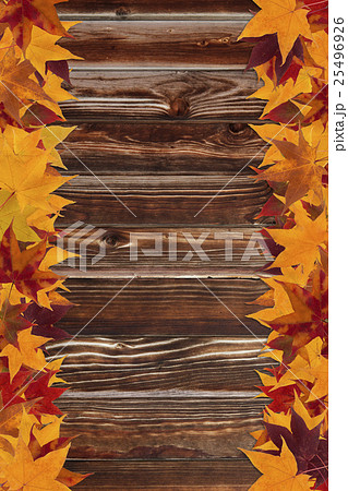 maple leaves and wooden background 25496926