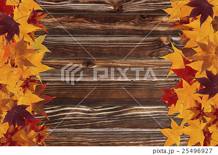 maple leaves and wooden background 25496927