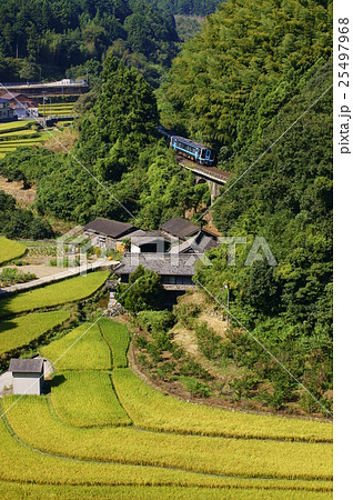 段々畑 アーチ橋とJR四国 2000系気動車 特急宇和海 段々畑 アーチ橋とJR四国 2000系気動車 特急宇和海 25497968