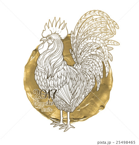 Graphic decorative rooster 25498465