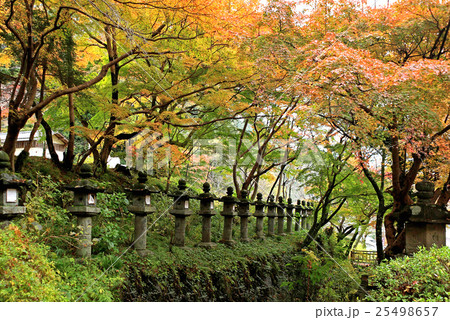 談山神社 紅葉 談山神社 紅葉 25498657