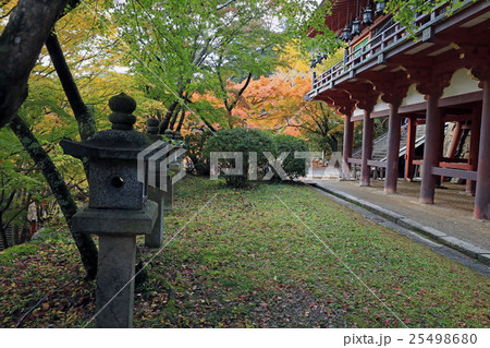 談山神社 紅葉 談山神社 紅葉 25498680