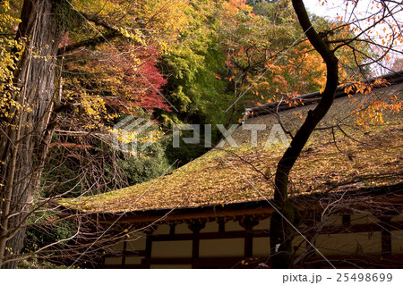 談山神社 紅葉 談山神社 紅葉 25498699