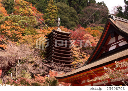 談山神社　紅葉 25498708