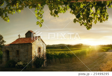 napa valley 25499295