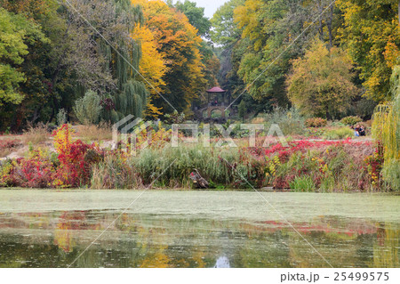 The Chinese Bridge in Olexandria Park The Chinese Bridge in Olexandria Park 25499575
