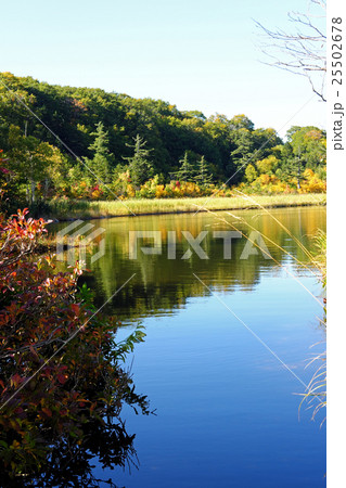 紅葉が始まった八幡平の大沼 25502678