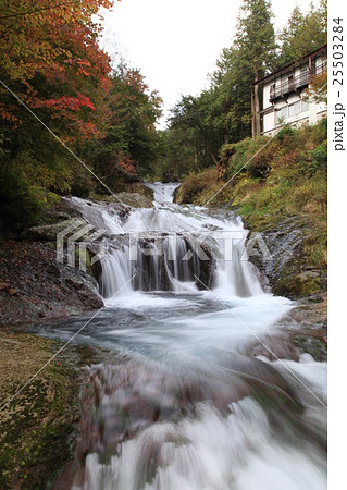 秋の横谷渓谷 おしどり隠しの滝 秋の横谷渓谷 おしどり隠しの滝 25503284