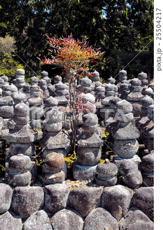 石塔寺 石塔寺 25504217