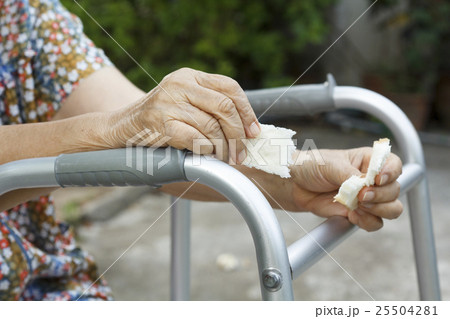 elderly woman holding a slice of bread for dogs 25504281