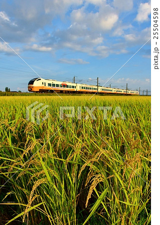 いなほ号 653系 羽越本線:西袋~余目間 いなほ号 653系 羽越本線:西袋~余目間 25504598