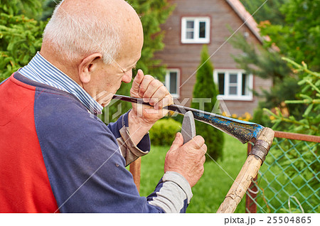 Hoary man sharpening scythe in front of his summer 25504865