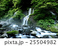 吐竜の滝 25504982