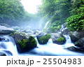 清里の清流 25504983