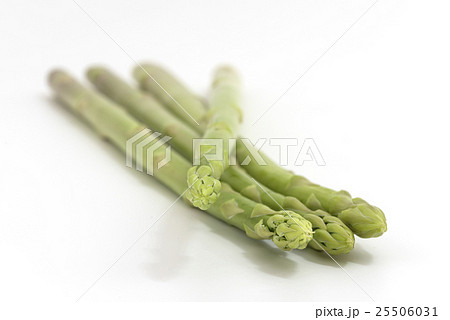 アスパラガス（さぬきのめざめ） 25506031