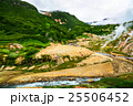 The Valley of Geysers in the summer. Kamchatka 25506452