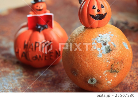 orange rot halloween day orange rot halloween day 25507530