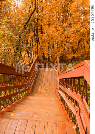 Wooden stairs with leaves in the autumn forest 25507796