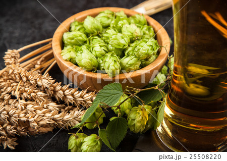 Beer glass on dark background 25508220