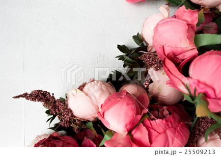 Pink peonies isolated on white background 25509213