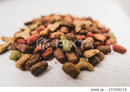 dry cat food 25509218