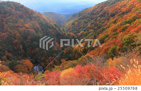 横谷峡紅葉（王滝） 25509768