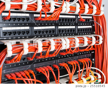 Close up of red network cables connected to switch 25510545
