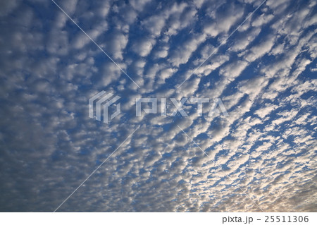 ヒツジが何匹かな ヒツジが何匹かな 25511306