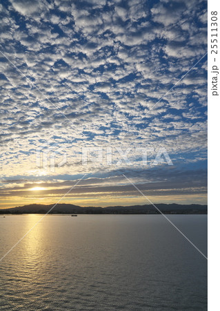 ヒツジが何匹かな 25511308