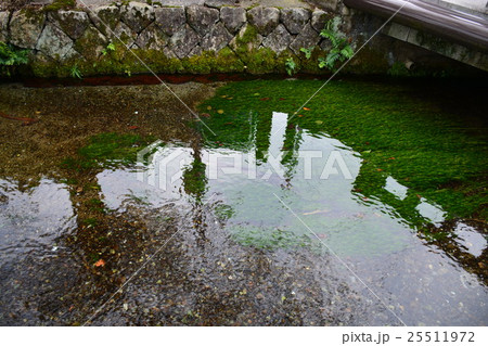 滋賀県　醒井の清水 25511972