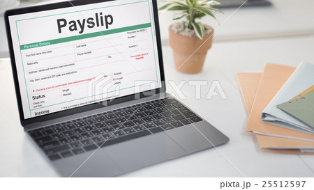 Payslip Purchase Order Form Concept Payslip Purchase Order Form Concept 25512597