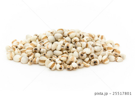 はと麦: Job's tears はと麦: Job's tears 25517801