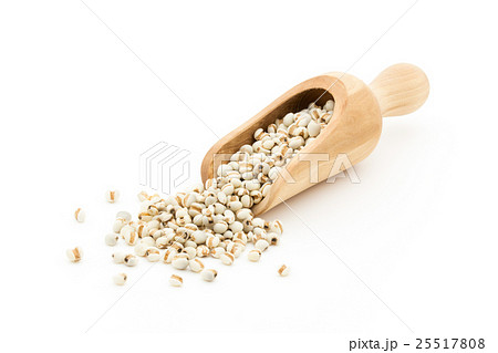 はと麦: Job's tears はと麦: Job's tears 25517808