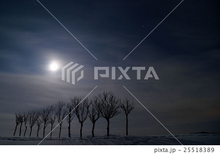 月と稲架木 25518389