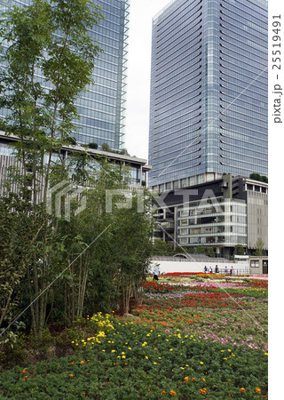 高層ビルとお花畑　都市景観 25519491